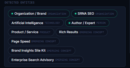 AI Visibility Inspector Detected Entities