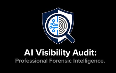 AI Visibility Inspector V0.5 Download
